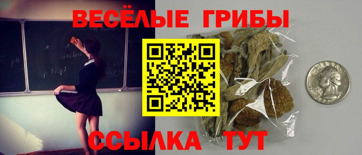 Галлюциногенные грибы Cubensis  Вход с VPN  Курск 